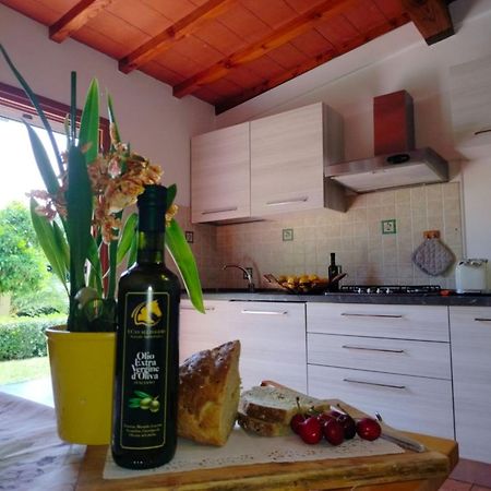 I Cavalleggeri Villa Castagneto Carducci Esterno foto