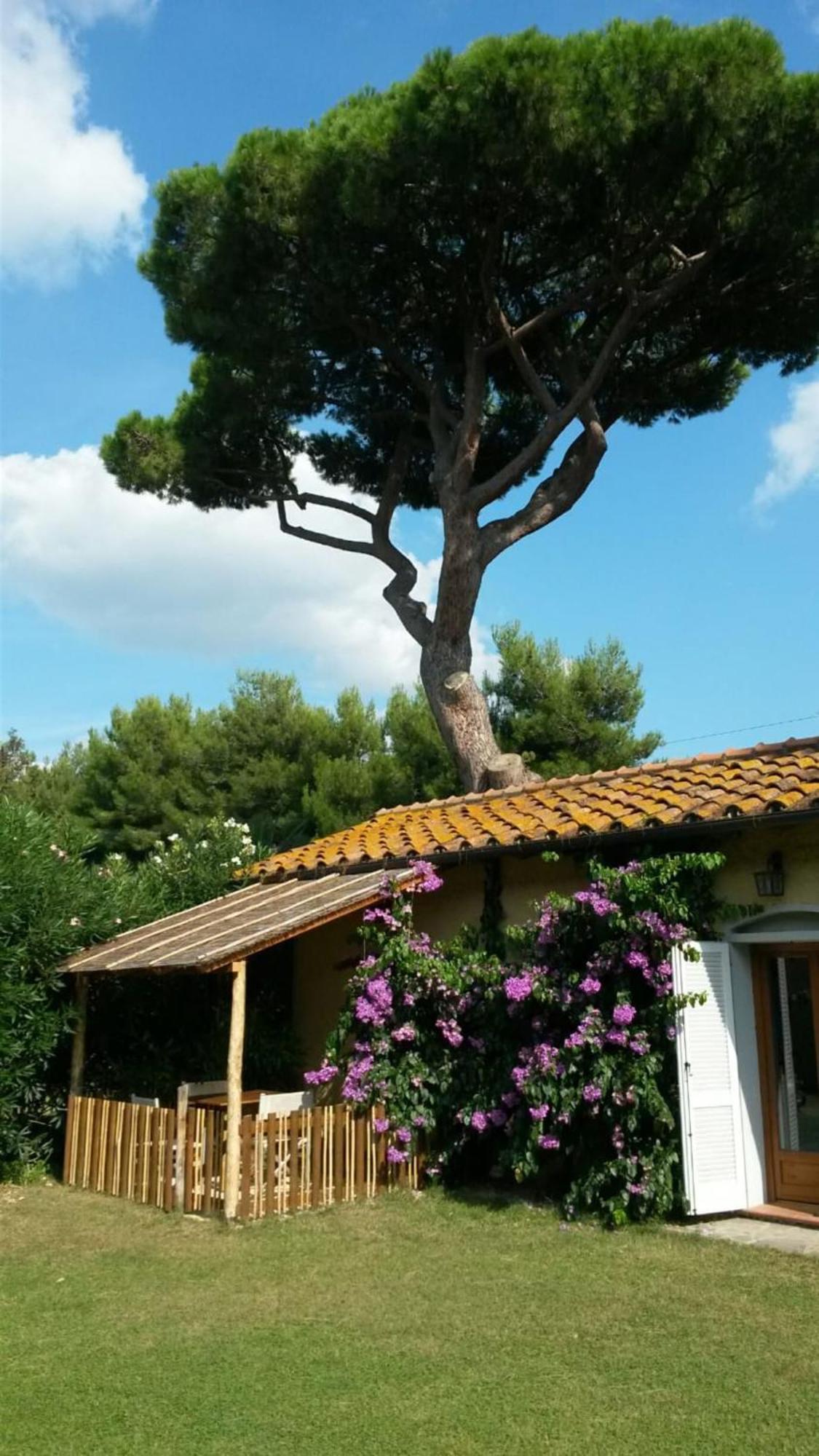 I Cavalleggeri Villa Castagneto Carducci Esterno foto